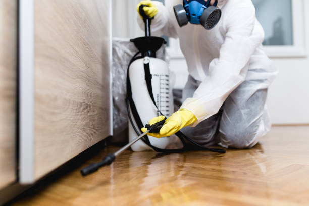 Best Commercial Pest Control Services  in Hawkinsville, GA