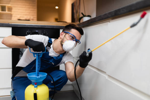Best Rat Extermination Near Me  in Hawkinsville, GA