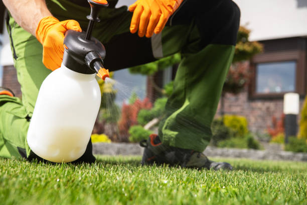 Best Ant Control Services  in Hawkinsville, GA