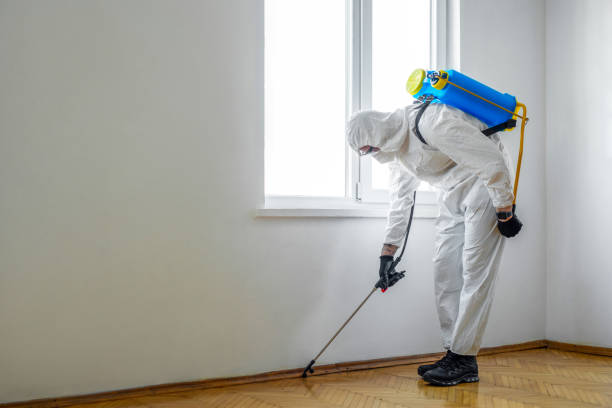 Pest Control for Restaurants in Hawkinsville, GA