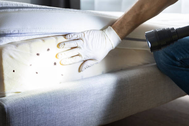 Best Wildlife Control Services  in Hawkinsville, GA
