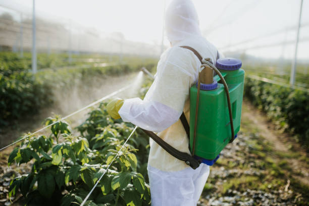 Best Best Pest Control Companies  in Hawkinsville, GA